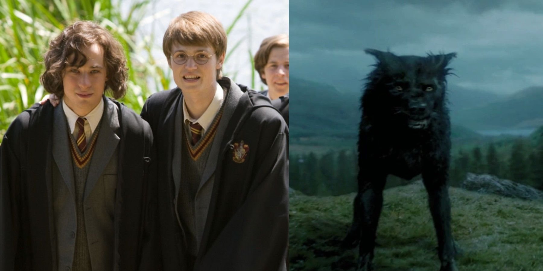 The Mysterious Padfoot: Exploring Legends And Origins
