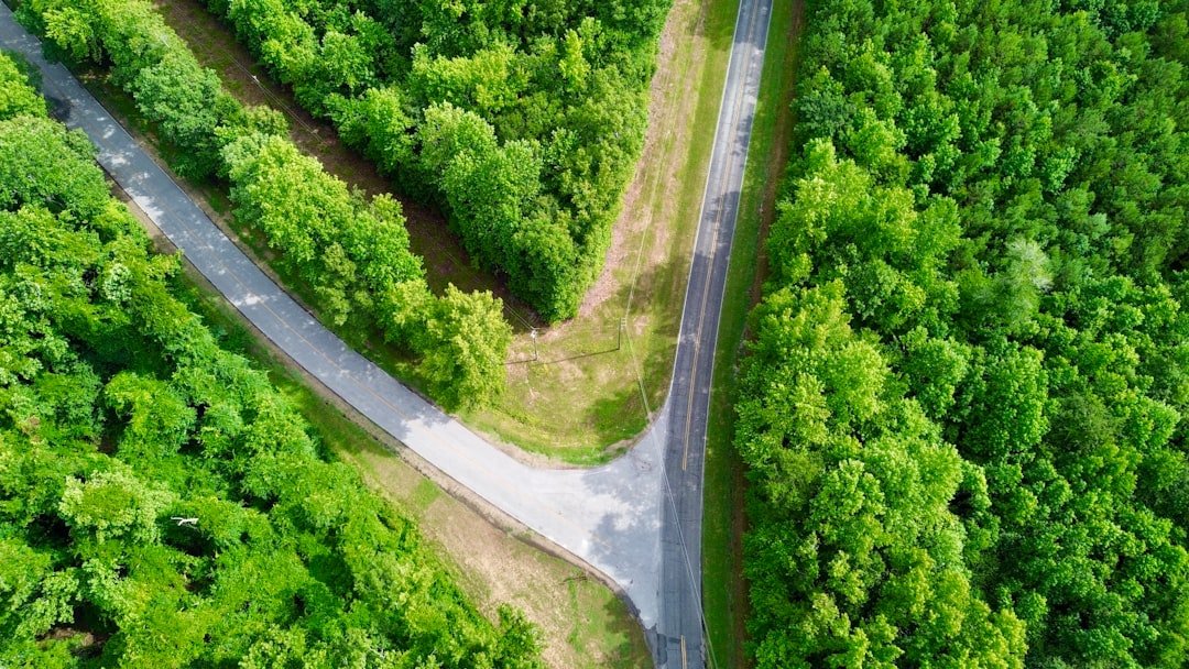 Speed isn’t the only difference: comparing digital gold loans with unsecured credit